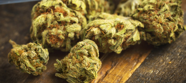 10 grunner til å legalisere cannabis